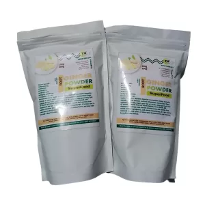 Ginger Powder (100g)